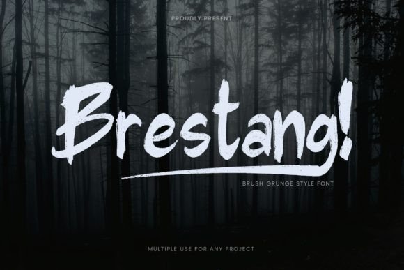 Brestang Font: A Web Designer's Test for Digital Layouts