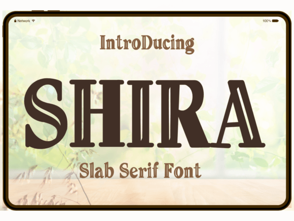 Shira Display Font: A Designer’s Real-World Branding Test