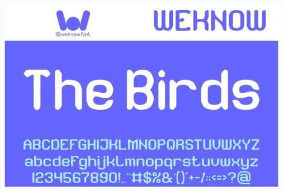 The Birds Display Font: A Quirky Typeface for Small Business Branding